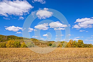 cornfield and mountain forest in the autumn