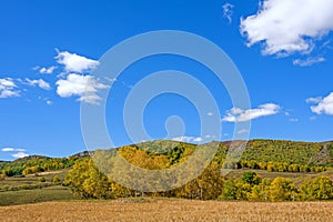 cornfield and mountain forest in the autumn