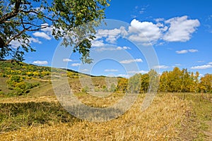 cornfield and mountain forest in the autumn