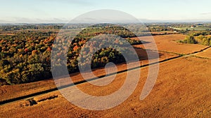 Cornfield in sunlight at Fall season. Autumn colors. Harvest, harvesting time. Rural landscape. Countryside scenery. Aerial, view