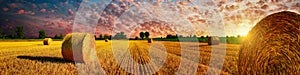 Cornfield sunset photo