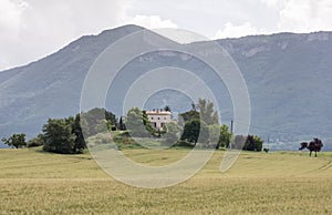 Cornfield and typical provence house in summer with mountains in the background