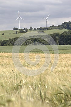 Cornfield with windenergy - portrait