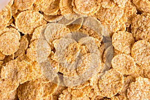 cornflakes background close up