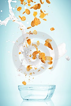 The cornflakes falling with milk stream