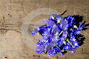 Non lo sa fiori. blu fiori sul da di legno superficie 