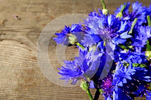 No lo sabe flores. azul flores sobre el de de madera superficie 