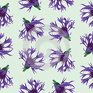 Cornflower pattern made from real flower