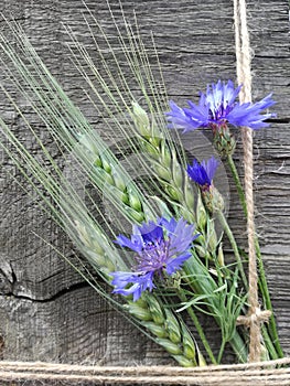 Cornflowers and ears of barley