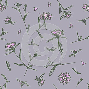 Cornflowers with flowers, petals and leaves. Brown or brownray knapweed. Hand drawn vector seamless pattern