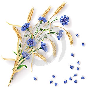 Cornflowers and wheat ears bunch