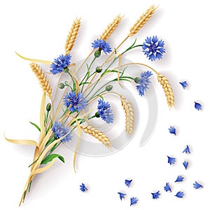 Cornflowers and wheat ears bunch photo