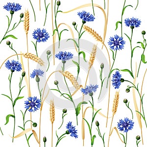 Cornflowers and Wheat Ears Pattern