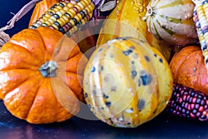 Cornicopia of fall veg on a black background. Calgary, Alberta, Canada