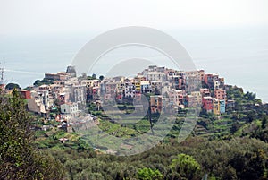 Corniglia - Cinque Terre photo