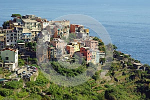 Corniglia, Cinque Terre, Italy photo