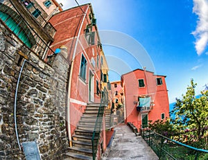 Corniglia, Cinque Terre, Italy - Back Lane