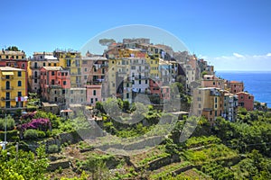 Corniglia - Cinque Terre,Italy photo