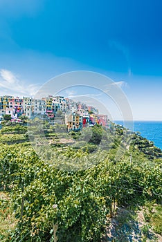 Corniglia in Cinque Terre, Liguria, Italy