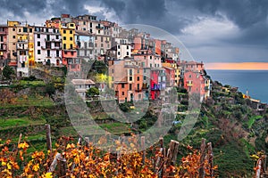 Corniglia, Italy in Cinque Terre photo