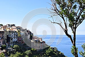 Corniglia town on hill in Italian Riviera