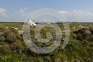 Cornish coastline at Trevose head, Cornwall,  UK