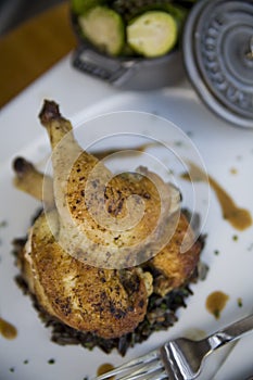 Cornish Game Hen with Wild Rice and Au Jus