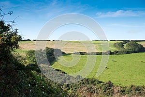 Cornish Landscape