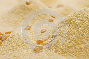 Cornmeal Background