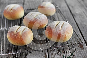 Cornmeal dinner rolls, sandwich bread freshly baked photo