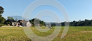 The cornor of a village