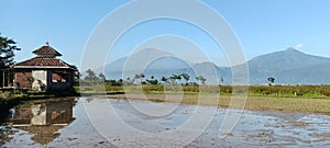 In the cornor of a village