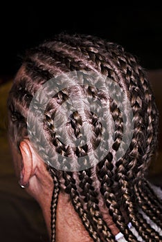 Cornrow Braids - Rear View