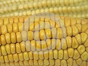 Corns