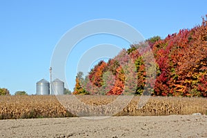 Corns farms in Ange Gardien located within the Rouville Regional photo