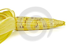 Corns isolated on the white background