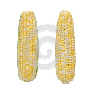 Corns