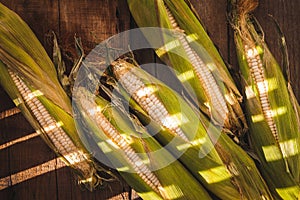 Corns photo