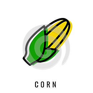 Cornscolor Icon. Vector illustration Sweet corns in Line style. Isolated Maize Logo.
