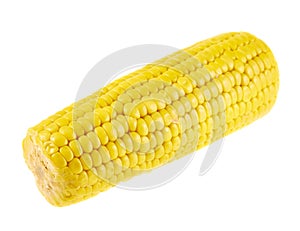 Cornstick corn on the cob isolated