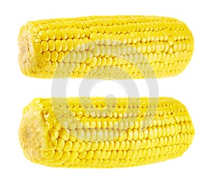 Cornstick corn on the cob isolated