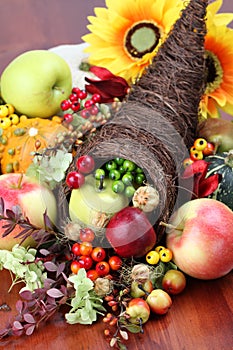 Cornucopia