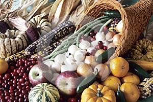 Cornucopia of fall bounty and color. photo