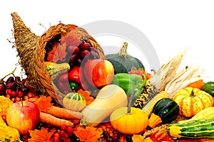 Cornucopia