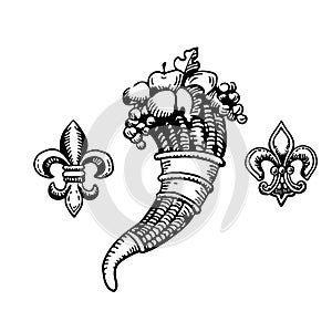 Cornucopia-horn of plenty and floral Heraldic elements. gerb symbol of wealth, riches.  illustration