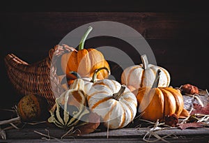 Cornucopia With Mini Pumpkins