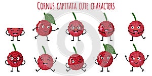 Cornus capitata fruit cute funny cheerful characters with different poses and emotions