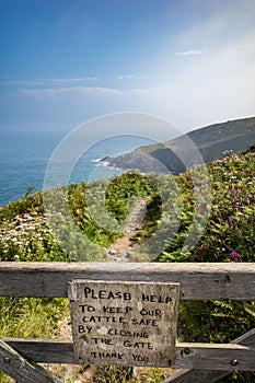 Cornwall, UK - August 10, 2020. Cattle sign along the Coast path. Between St. Ives and Pendeen