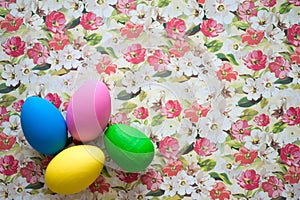 Coroful easter eggs placed on spring flower background