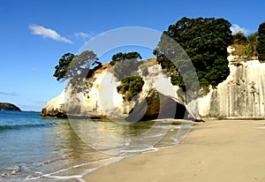 Coromandel Beach